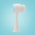 Beauty Skin Care Face Wash Cleansing Instrument
